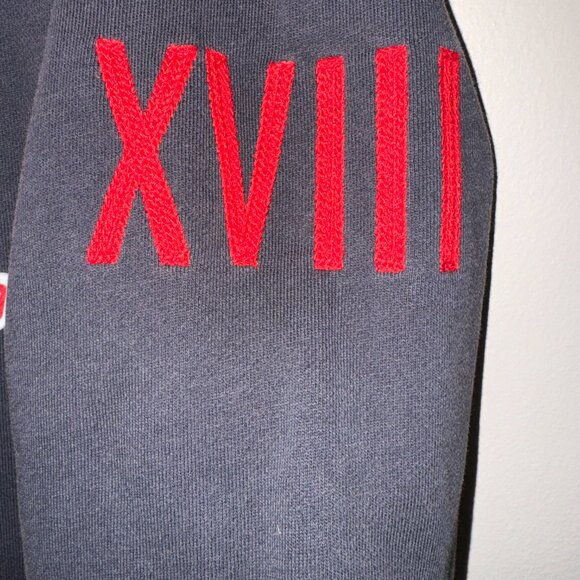 Vintage Nike Track and Field Team USA Olympic Full Zip Hoodie Men's M 452148-473 - Picture 8 of 15